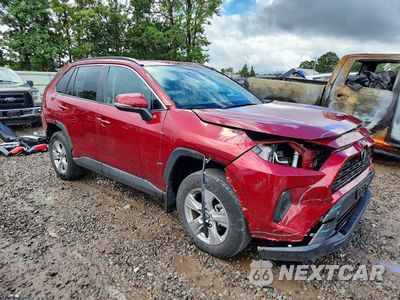 Czwarte zdjęcie samochodu z boku: 2025 TOYOTA RAV4 XLE VIN:2T3P1RFV9SW558771 - miniatura