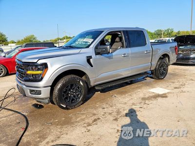 2024 FORD F150 XLT 1FTFW3L89RKF58250 - główne zdjęcie licytacji z USA - miniatura