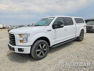 2017 FORD F150 SUPERCREW 1FTFW1EG8HKC98530 - główne zdjęcie licytacji z USA - miniatura