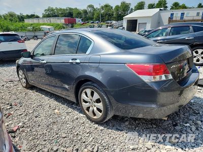Drugie zdjęcie samochodu z przodu: 2009 HONDA ACCORD EXL VIN:5KBCP36859B002950 - miniatura