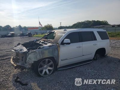 2017 CADILLAC ESCALADE LUXURY 1GYS4BKJ5HR165395 - główne zdjęcie licytacji z USA - miniatura