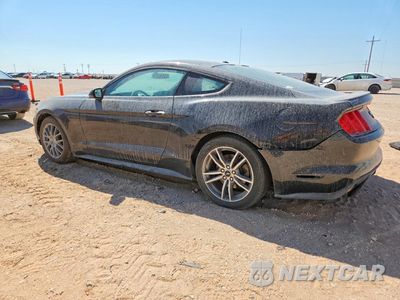 Drugie zdjęcie samochodu z przodu: 2016 FORD MUSTANG VIN:1FA6P8TH9G5309894 - miniatura