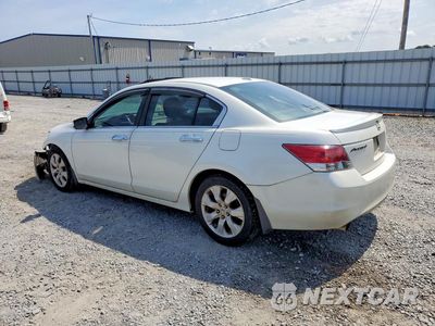 Drugie zdjęcie samochodu z przodu: 2009 HONDA ACCORD EXL VIN:1HGCP36869A046187 - miniatura