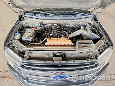 Zdjęcie 11 z 12 samochodu: 2019 FORD F150 SUPERCREW VIN:1FTEW1E5XKKC04973 - miniatura