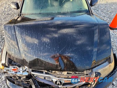 Zdjęcie 11 z 12 samochodu: 2006 ACURA TSX VIN:JH4CL96906C011519 - miniatura