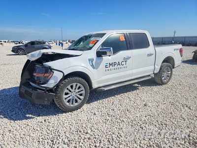 2024 FORD F150 XLT 1FTFW3L84RKE75115 - główne zdjęcie licytacji z USA - miniatura
