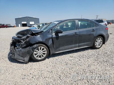 2026 TOYOTA COROLLA LE JTDB4MEE0T3041594 - główne zdjęcie licytacji z USA - miniatura