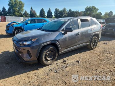 2019 TOYOTA RAV4 LE JTMF1RFVXKD007242 - główne zdjęcie licytacji z USA - miniatura