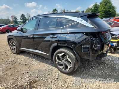 Drugie zdjęcie samochodu z przodu: 2024 HYUNDAI TUCSON LIMITED VIN:5NMJECDE2RH406291 - miniatura