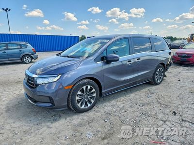 2024 HONDA ODYSSEY EXL 5FNRL6H62RB062590 - główne zdjęcie licytacji z USA - miniatura