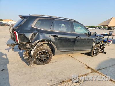 Trzecie zdjęcie samochodu z tyłu: 2024 KIA TELLURIDE SX X-PRO VIN:5XYP5DGC9RG409953 - miniatura