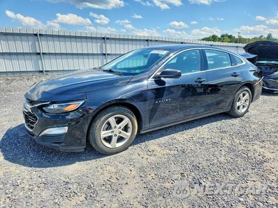 2022 CHEVROLET MALIBU LS 1G1ZB5ST8NF189161 - główne zdjęcie licytacji z USA - miniatura
