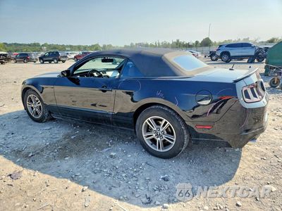 Drugie zdjęcie samochodu z przodu: 2013 FORD MUSTANG VIN:1ZVBP8EM3D5202707 - miniatura