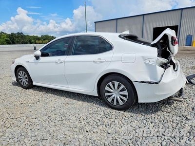 Drugie zdjęcie samochodu z przodu: 2021 TOYOTA CAMRY LE VIN:4T1C31AK6MU568340 - miniatura