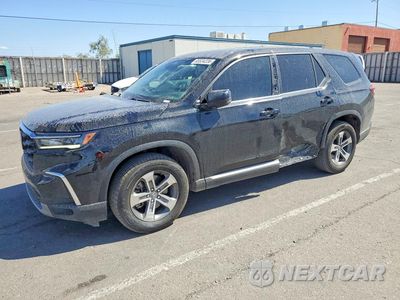 2024 HONDA PILOT EXL 5FNYG2H41RB010388 - główne zdjęcie licytacji z USA - miniatura