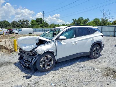 2025 HYUNDAI TUCSON SEL 5NMJBCDE7SH480417 - główne zdjęcie licytacji z USA - miniatura