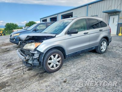2007 HONDA CR-V EX JHLRE48557C012043 - główne zdjęcie licytacji z USA - miniatura