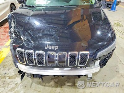 Zdjęcie 12 z 13 samochodu: 2019 JEEP CHEROKEE LIMITED VIN:1C4PJMDX6KD163693 - miniatura