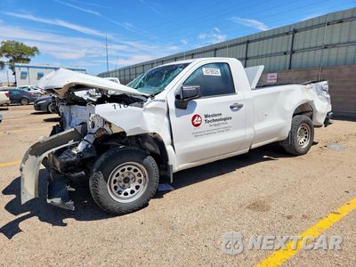 2020 CHEVROLET SILVERADO K1500 3GCNYAEF7LG165223 - główne zdjęcie licytacji z USA - miniatura