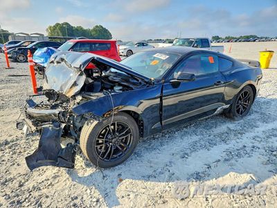2017 FORD MUSTANG 1FA6P8TH1H5290744 - główne zdjęcie licytacji z USA - miniatura