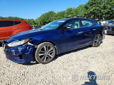 2021 NISSAN MAXIMA SV 1N4AA6CVXMC503895 - główne zdjęcie licytacji z USA - miniatura