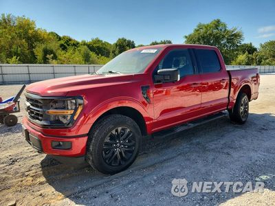 2024 FORD F150 XLT 1FTFW3L81RFA06122 - główne zdjęcie licytacji z USA - miniatura