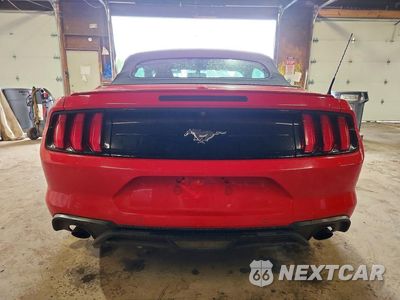 Zdjęcie 6 z 12 samochodu: 2020 FORD MUSTANG VIN:1FATP8UH3L5131816 - miniatura