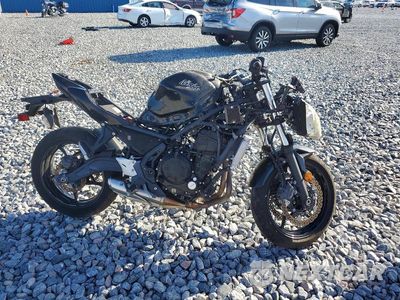 2019 KAWASAKI EX650 F JKAEXEK17KDA33994 - główne zdjęcie licytacji z USA - miniatura