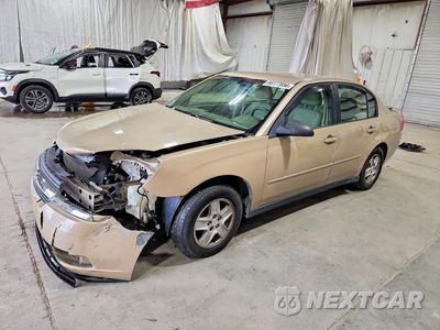 2005 CHEVROLET MALIBU LS 1G1ZT52815F306846 - główne zdjęcie licytacji z USA - miniatura