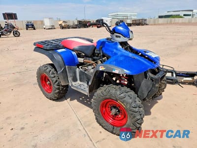 2004 POLARIS SPORTSMAN ATV 4XACH59AX4A333943 - główne zdjęcie licytacji z USA - miniatura