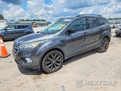 2017 FORD ESCAPE SE 1FMCU0GD0HUC85535 - główne zdjęcie licytacji z USA - miniatura