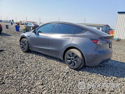 Drugie zdjęcie samochodu z przodu: 2024 TESLA MODEL Y VIN:7SAYGDEE2RF116893 - miniatura