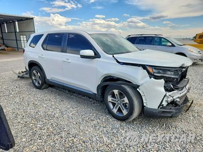 Czwarte zdjęcie samochodu z boku: 2025 HONDA PILOT EXL VIN:5FNYG1H41SB061048 - miniatura
