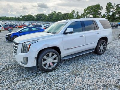 2016 CADILLAC ESCALADE LUXURY 1GYS3BKJXGR372401 - główne zdjęcie licytacji z USA - miniatura