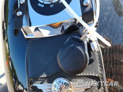 Zdjęcie 8 z 9 samochodu: 2002 HARLEY-DAVIDSON FXST VIN:1HD1BHY132Y054597 - miniatura