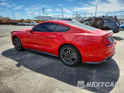 Drugie zdjęcie samochodu z przodu: 2019 FORD MUSTANG VIN:1FA6P8TH5K5169089 - miniatura