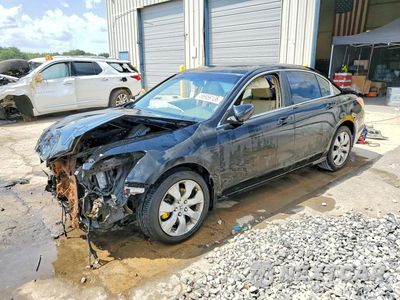 2009 HONDA ACCORD EXL 1HGCP26889A167300 - główne zdjęcie licytacji z USA - miniatura