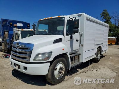 2020 HINO 338 BOX TRUCK 5PVNV8JV5L4S59841 - główne zdjęcie licytacji z USA - miniatura
