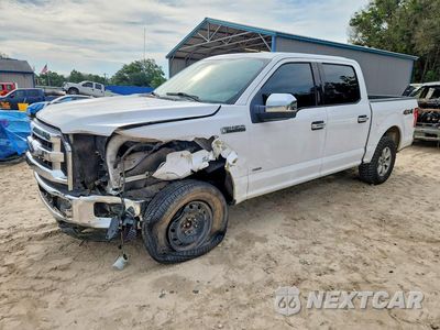 2016 FORD F150 SUPERCREW 1FTEW1EP2GKD41396 - główne zdjęcie licytacji z USA - miniatura