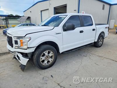 2019 FORD F150 SUPERCREW 1FTEW1CP0KKD11664 - główne zdjęcie licytacji z USA - miniatura