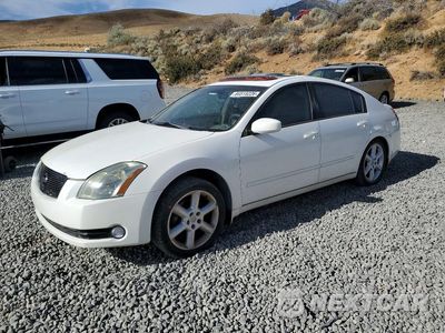 2009 NISSAN MAXIMA 3.5 S 1N4BA41EX6C809736 - główne zdjęcie licytacji z USA - miniatura