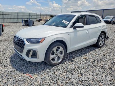 2023 AUDI Q5 PREMIUM PLUS 45 WA1EAAFY6P2067958 - główne zdjęcie licytacji z USA - miniatura
