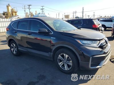 Czwarte zdjęcie samochodu z boku: 2020 HONDA CR-V LX VIN:7FART6H24LE006479 - miniatura