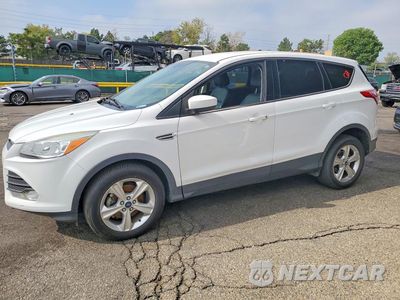 2014 FORD ESCAPE SE 1FMCU0GX8EUD51416 - główne zdjęcie licytacji z USA - miniatura