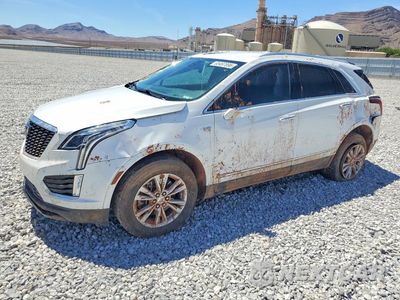 2022 CADILLAC XT5 LUXURY 1GYKNAR49NZ128367 - główne zdjęcie licytacji z USA - miniatura