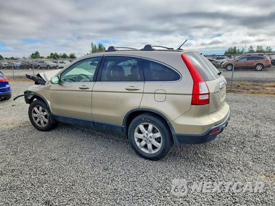 Drugie zdjęcie samochodu z przodu: 2007 HONDA CR-V EXL VIN:JHLRE38757C060573 - miniatura