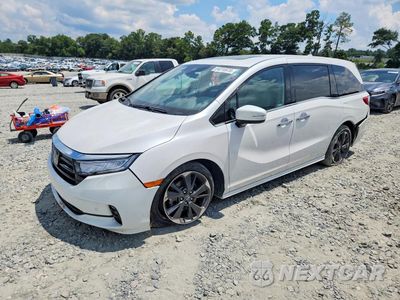 2024 HONDA ODYSSEY ELITE 5FNRL6H96RB005934 - główne zdjęcie licytacji z USA - miniatura
