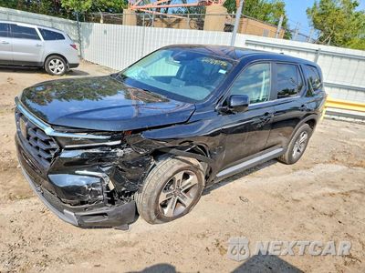 2025 HONDA PILOT EXL 5FNYG1H49SB066899 - główne zdjęcie licytacji z USA - miniatura