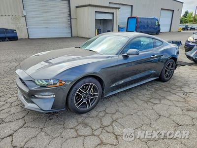 2020 FORD MUSTANG 1FA6P8TH7L5173534 - główne zdjęcie licytacji z USA - miniatura