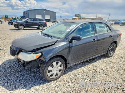 2010 TOYOTA COROLLA LE 1NXBU4EE7AZ352944 - główne zdjęcie licytacji z USA - miniatura